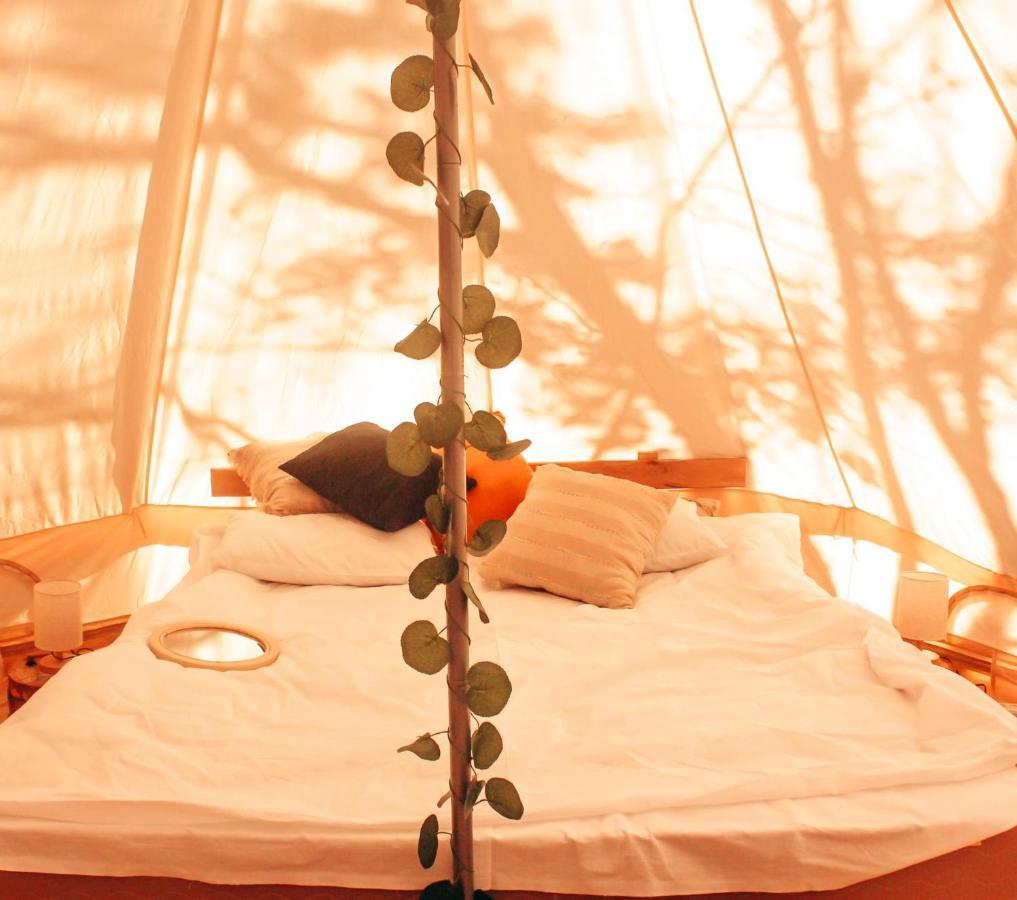 Alereks Mountain Camping Tumanyan Esterno foto