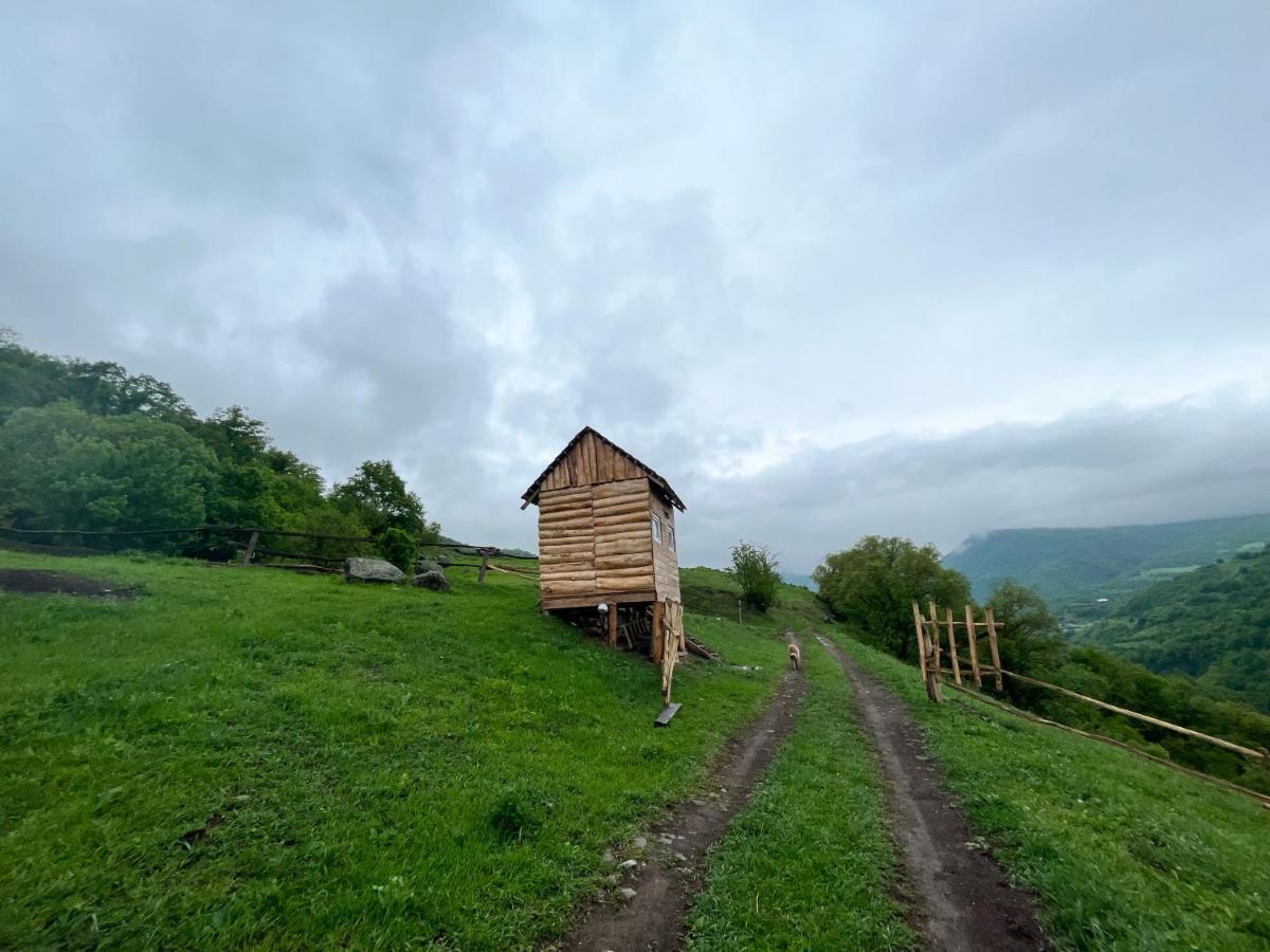 Alereks Mountain Camping Tumanyan Esterno foto
