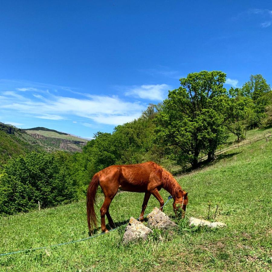 Alereks Mountain Camping Tumanyan Esterno foto